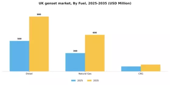 UK Genset Market Segment Image 2