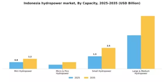 Indonesia Hydropower Market Segment Image 0