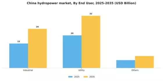 China Hydropower Market Segment Image 2