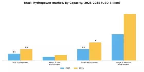 Brazil Hydropower Market Segment Image 0
