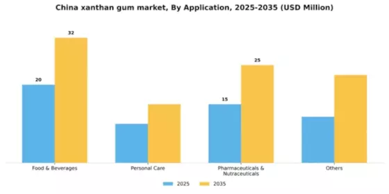 China Xanthan Gum Market Segment Image 0
