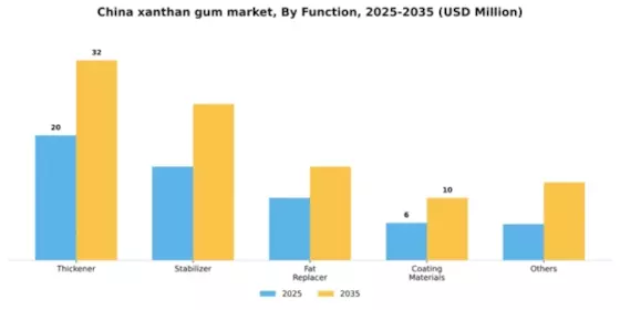 China Xanthan Gum Market Segment Image 1