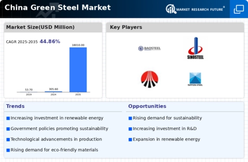 China Green Steel Market Infographic