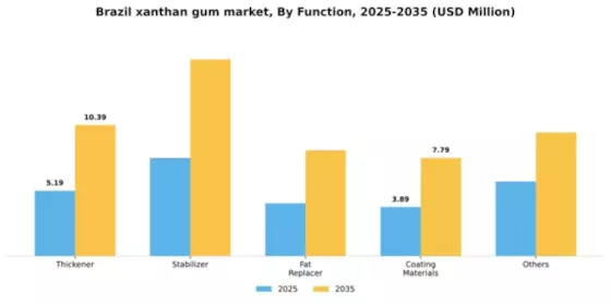Brazil Xanthan Gum Market Segment Image 1