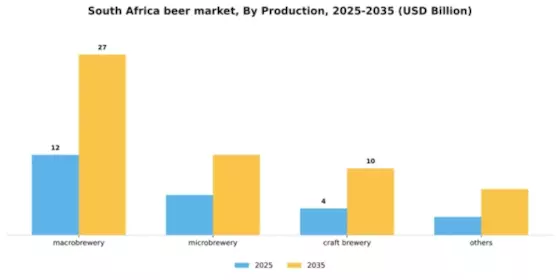 South Africa Beer Market Segment Image 5
