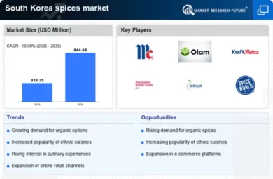 South Korea Spices Market Infographic