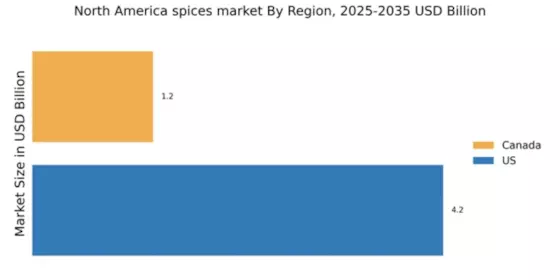 North America Spices Market
 Regional Image