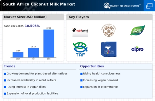South Africa Coconut Milk Market Infographic