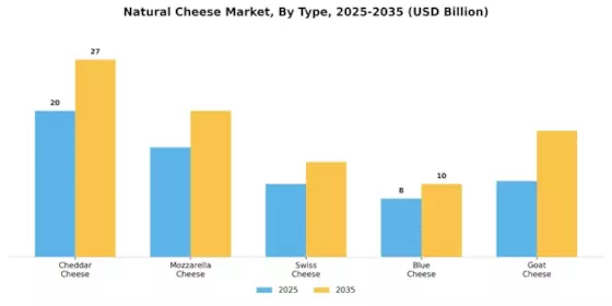 Natural Cheese Market Segment Image 3