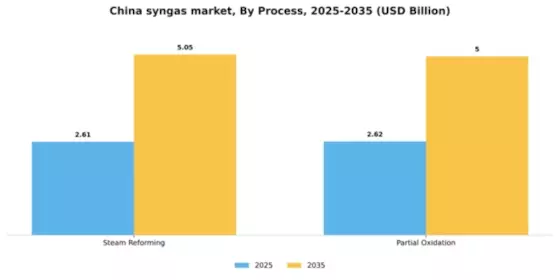 China Syngas Market Segment Image 3