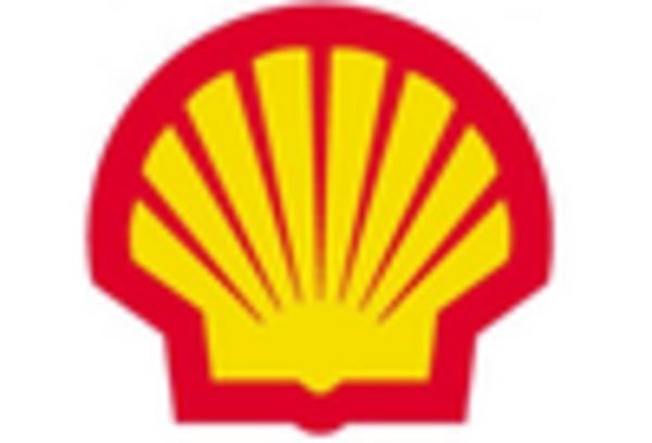 China Syngas Market key player