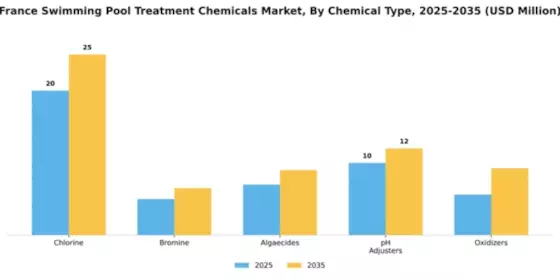 France Swimming Pool Treatment Chemicals Market Segment Image 1
