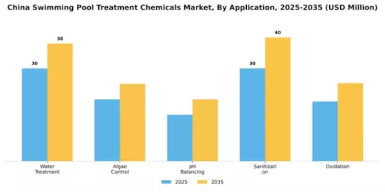 China Swimming Pool Treatment Chemicals Market Segment Image 0