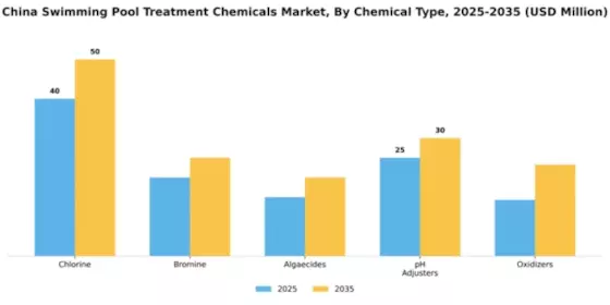 China Swimming Pool Treatment Chemicals Market Segment Image 1