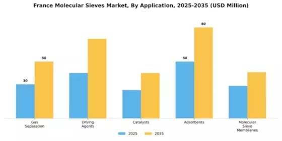 France Molecular Sieves Market Segment Image 0