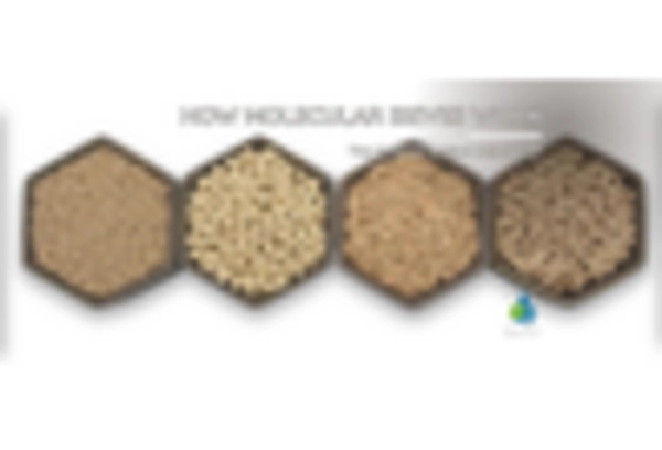 India Molecular Sieves Market key player