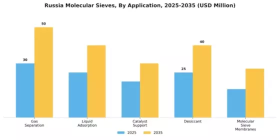 Russia Molecular Sieves Market Segment Image 0