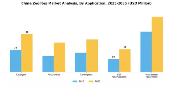 China Zeolites Market Segment Image 0
