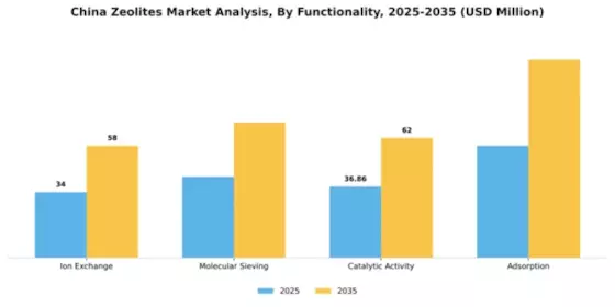 China Zeolites Market Segment Image 3