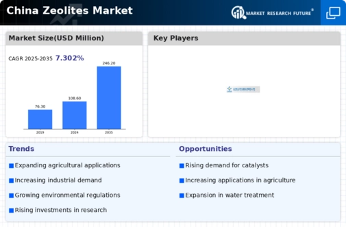 China Zeolites Market Infographic