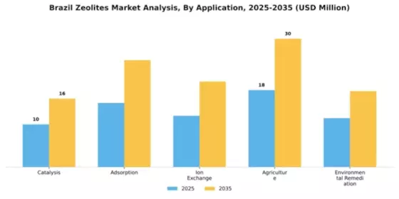 Brazil Zeolites Market Segment Image 0