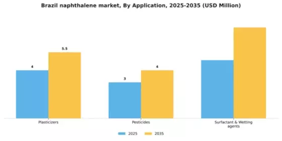 Brazil Naphthalene Market Segment Image 0