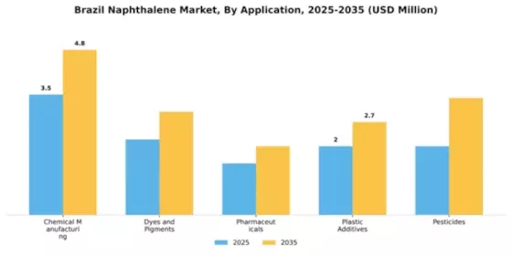 Brazil Naphthalene Market Segment Image 0