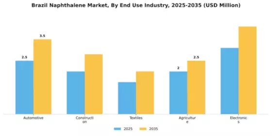 Brazil Naphthalene Market Segment Image 2