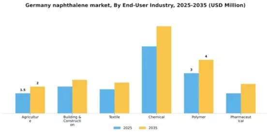 Germany Naphthalene Market Segment Image 1