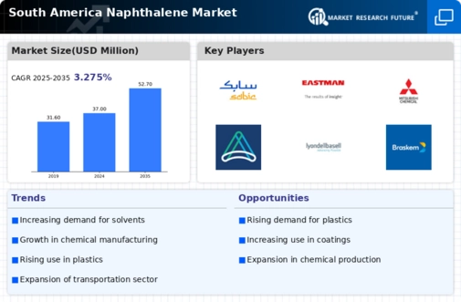 South America Naphthalene Market Research Report - Forecast to 2035 Infographic