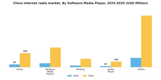 China Internet Radio Market Segment Image 3