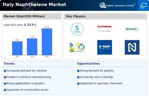 Italy Naphthalene Market Infographic