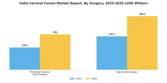 India Cervical Fusion Market Segment Image 2