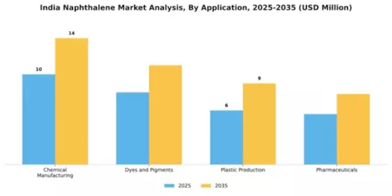 India Naphthalene Market Segment Image 0