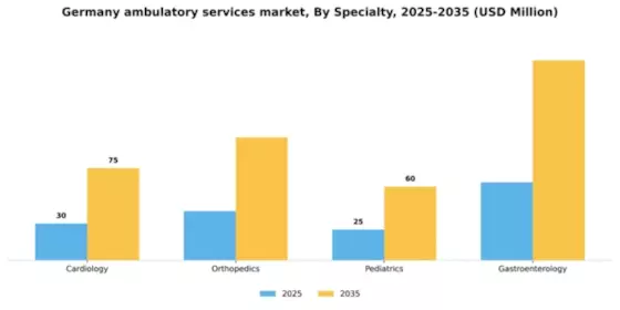 Germany Ambulatory Services Market Segment Image 1