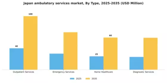 Japan Ambulatory Services Market Segment Image 3