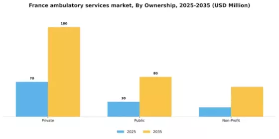 France Ambulatory Services Market Segment Image 0