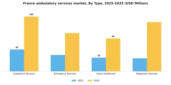 France Ambulatory Services Market Segment Image 3