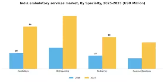 India Ambulatory Services Market Segment Image 1