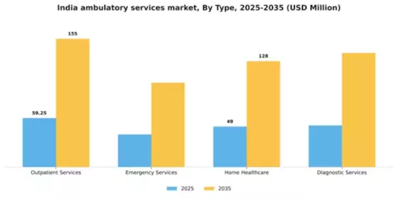 India Ambulatory Services Market Segment Image 3
