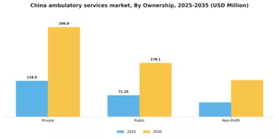 China Ambulatory Services Market Segment Image 0