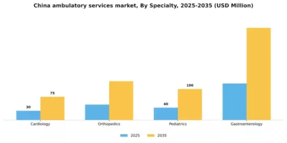 China Ambulatory Services Market Segment Image 1