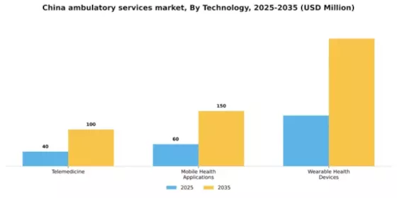 China Ambulatory Services Market Segment Image 2
