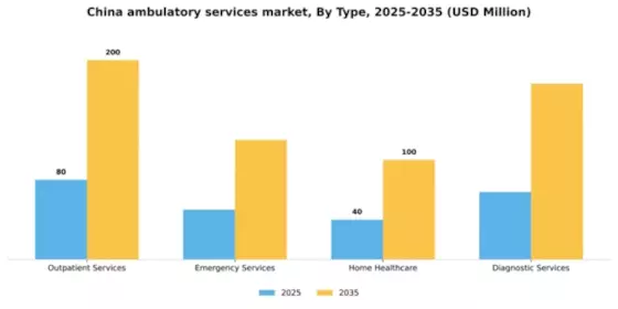 China Ambulatory Services Market Segment Image 3