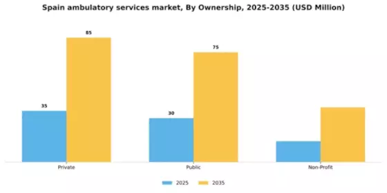Spain Ambulatory Services Market Segment Image 0