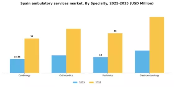 Spain Ambulatory Services Market Segment Image 1