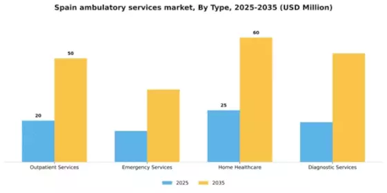Spain Ambulatory Services Market Segment Image 3