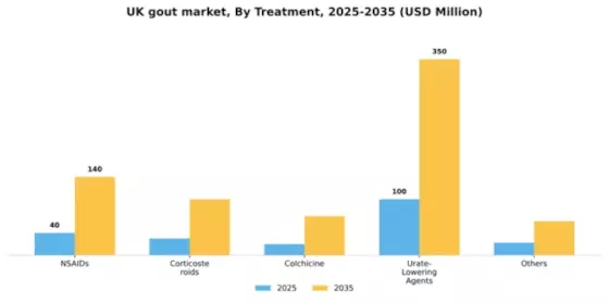 UK Gout Market Segment Image 2