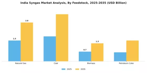 India Syngas Market Segment Image 2