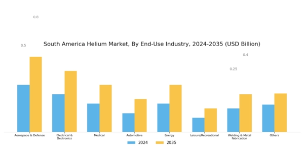 South America Helium Market Segment Image 2